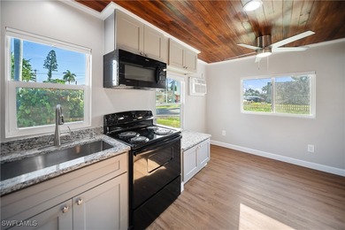 Investment Opportunity- Under Lease until 5/31/2026. This - photo 10