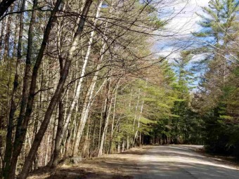 Pleasant Lake - Merrimack County Lot For Sale in Wilmot New Hampshire