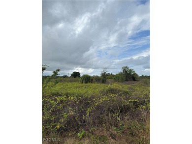 Lehigh Acres Area Lot For Sale in Lehigh Acres Florida