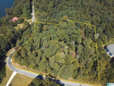 Highland Lake Lot For Sale in Oneonta Alabama