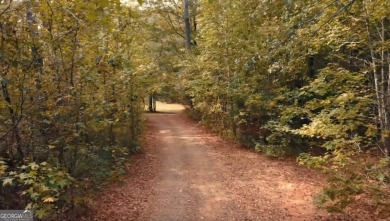 Lake Acreage For Sale in Gray, Georgia