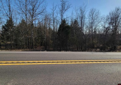 ALL-WOODED 3.61 ACRES M/L, very close to Bull Shoals Lake and - Lake Acreage For Sale in Midway, Arkansas