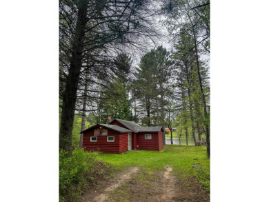 Lake Home For Sale in Luther, Michigan