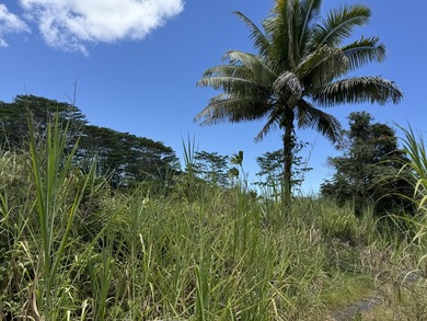Great Location for this 8.75 Acres of raw land close to the - photo 6