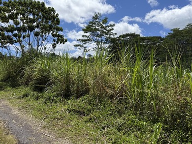 Great Location for this 8.75 Acres of raw land close to the - photo 8