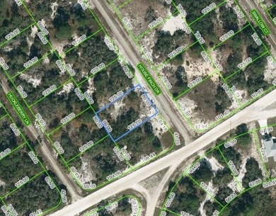 Lake Grassy Lot For Sale in Lake Placid Florida