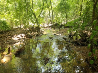 Lake Acreage For Sale in Greers Ferry, Arkansas