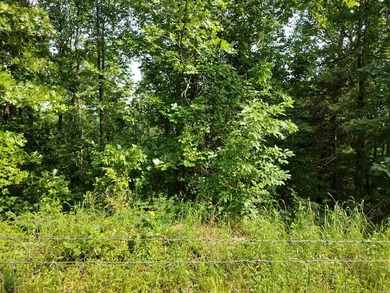 Additional listing photo 3