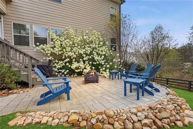 Significant PRICE REFRESH OF 20K...Rare Opportunity in FORSYTH - photo 38
