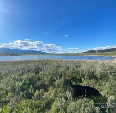 Lake Acreage For Sale in Cascade, Idaho