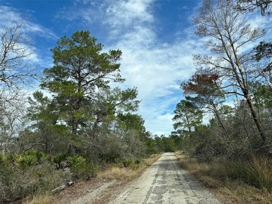 Lake Josephine Lot For Sale in Sebring Florida