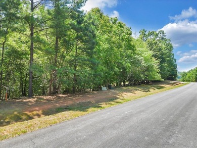 Build your dream home on this beautiful 1.6acre waterfront lot - photo 5