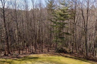 This lot is a rare treasure, spanning 4.33 acres with more than - photo 12
