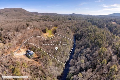This lot is a rare treasure, spanning 4.33 acres with more than - photo 22