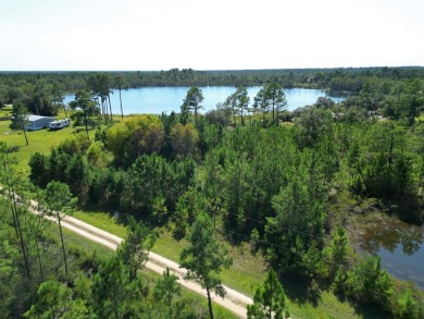 Lake Lot For Sale in Altha, Florida