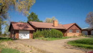 Lake Home For Sale in Hesperus, Colorado