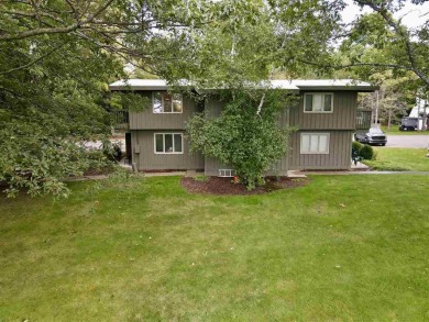 Lake Bellaire Condo For Sale in Bellaire Michigan