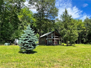 (private lake, pond, creek) Home Sale Pending in South New Berlin New York