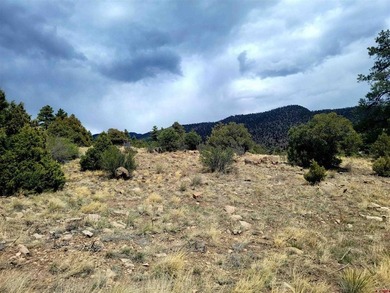 Connie Goodnight, Land Properties, LLC, C:,,: Exceptional - photo 1
