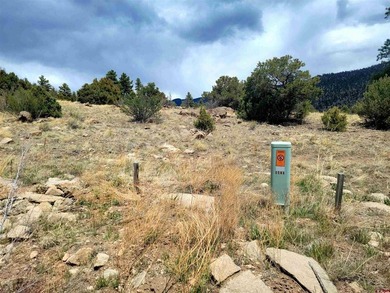 Connie Goodnight, Land Properties, LLC, C:,,: Exceptional - photo 3