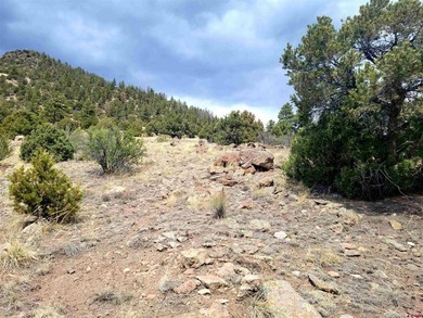 Connie Goodnight, Land Properties, LLC, C:,,: Exceptional - photo 4