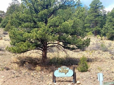 Connie Goodnight, Land Properties, LLC, C:,,: Exceptional - photo 8