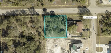 Lehigh Acres Area Lot For Sale in Lehigh Acres Florida