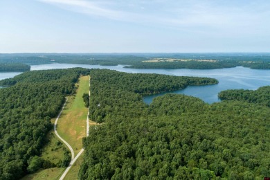 Bull Shoals Lake Lot For Sale in Protem Missouri