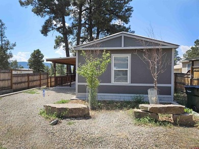 Lake Forest Home For Sale in Pagosa Springs Colorado