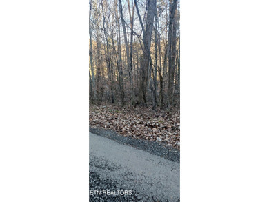 Norris Lake Lot For Sale in Speedwell Tennessee