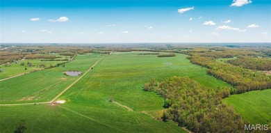 185 m/l acres between Rolla & St. James with CR 3120 frontage - photo 3