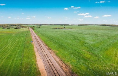 185 m/l acres between Rolla & St. James with CR 3120 frontage - photo 4