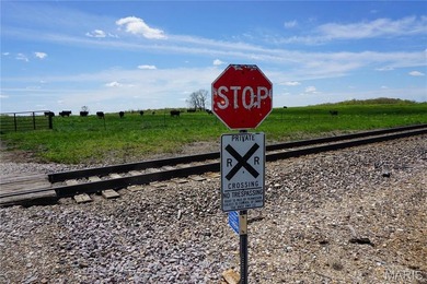 185 m/l acres between Rolla & St. James with CR 3120 frontage - photo 6