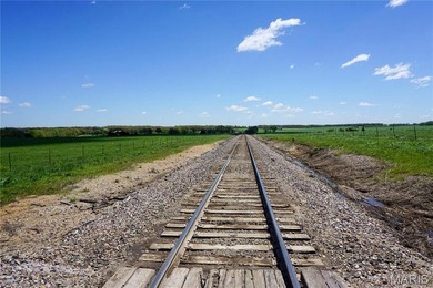 185 m/l acres between Rolla & St. James with CR 3120 frontage - photo 8