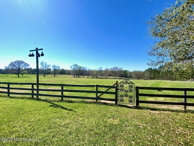 **Dream Horse & Homesteader Paradise - 20 Acres in Lucedale, MS! - photo 11