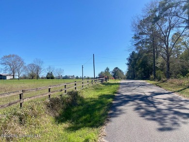**Dream Horse & Homesteader Paradise - 20 Acres in Lucedale, MS! - photo 12