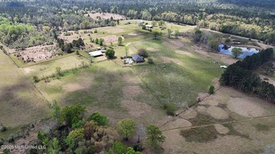 **Dream Horse & Homesteader Paradise - 20 Acres in Lucedale, MS! - photo 13