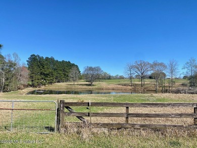 **Dream Horse & Homesteader Paradise - 20 Acres in Lucedale, MS! - photo 14