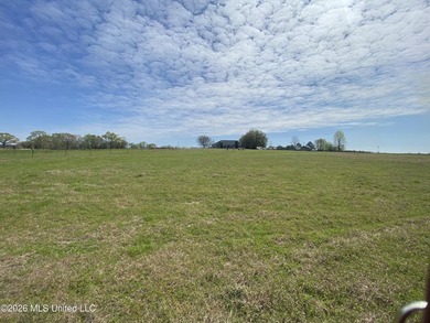 **Dream Horse & Homesteader Paradise - 20 Acres in Lucedale, MS! - photo 15