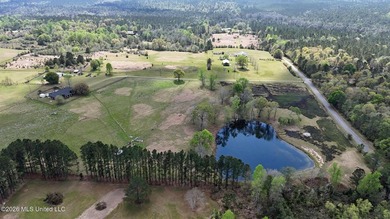 **Dream Horse & Homesteader Paradise - 20 Acres in Lucedale, MS! - photo 16