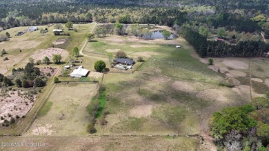 **Dream Horse & Homesteader Paradise - 20 Acres in Lucedale, MS! - photo 17