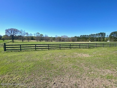 **Dream Horse & Homesteader Paradise - 20 Acres in Lucedale, MS! - photo 18