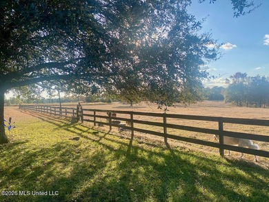**Dream Horse & Homesteader Paradise - 20 Acres in Lucedale, MS! - photo 19