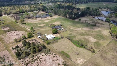 **Dream Horse & Homesteader Paradise - 20 Acres in Lucedale, MS! - photo 20