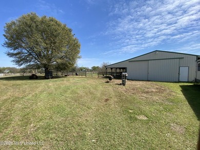 **Dream Horse & Homesteader Paradise - 20 Acres in Lucedale, MS! - photo 23