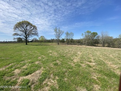**Dream Horse & Homesteader Paradise - 20 Acres in Lucedale, MS! - photo 24