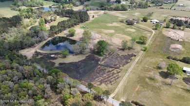 **Dream Horse & Homesteader Paradise - 20 Acres in Lucedale, MS! - photo 30