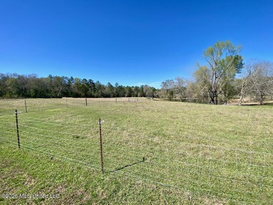 **Dream Horse & Homesteader Paradise - 20 Acres in Lucedale, MS! - photo 31