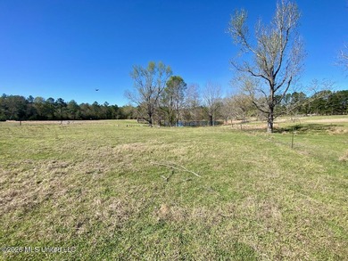 **Dream Horse & Homesteader Paradise - 20 Acres in Lucedale, MS! - photo 32