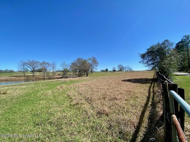 **Dream Horse & Homesteader Paradise - 20 Acres in Lucedale, MS! - photo 33